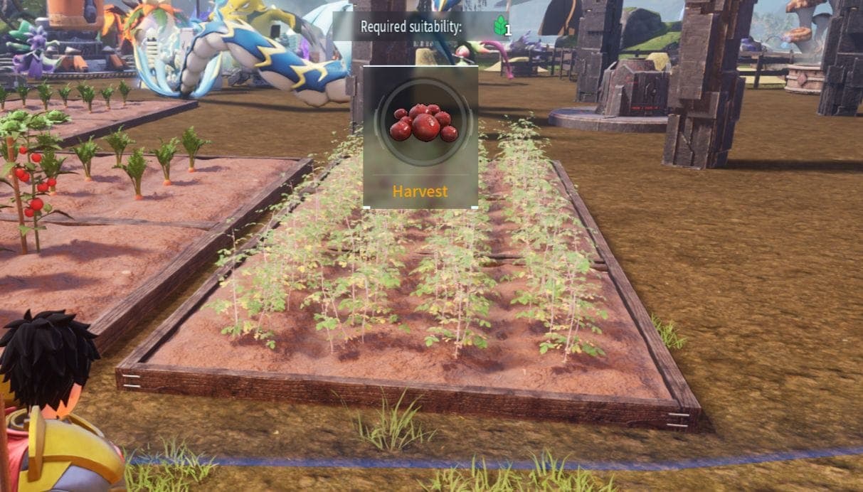 Berry Plantation