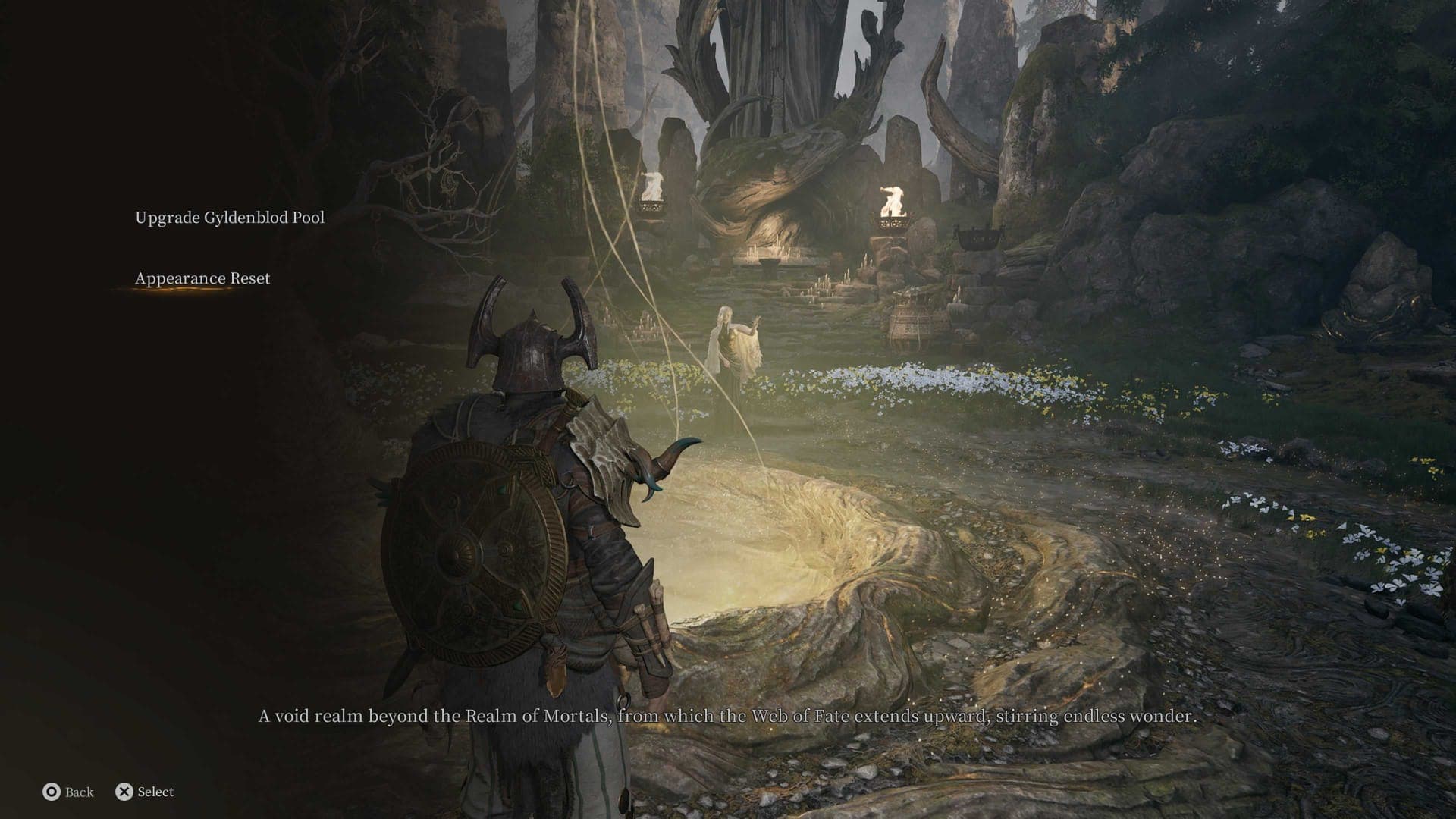 Change Appearance Mistfall