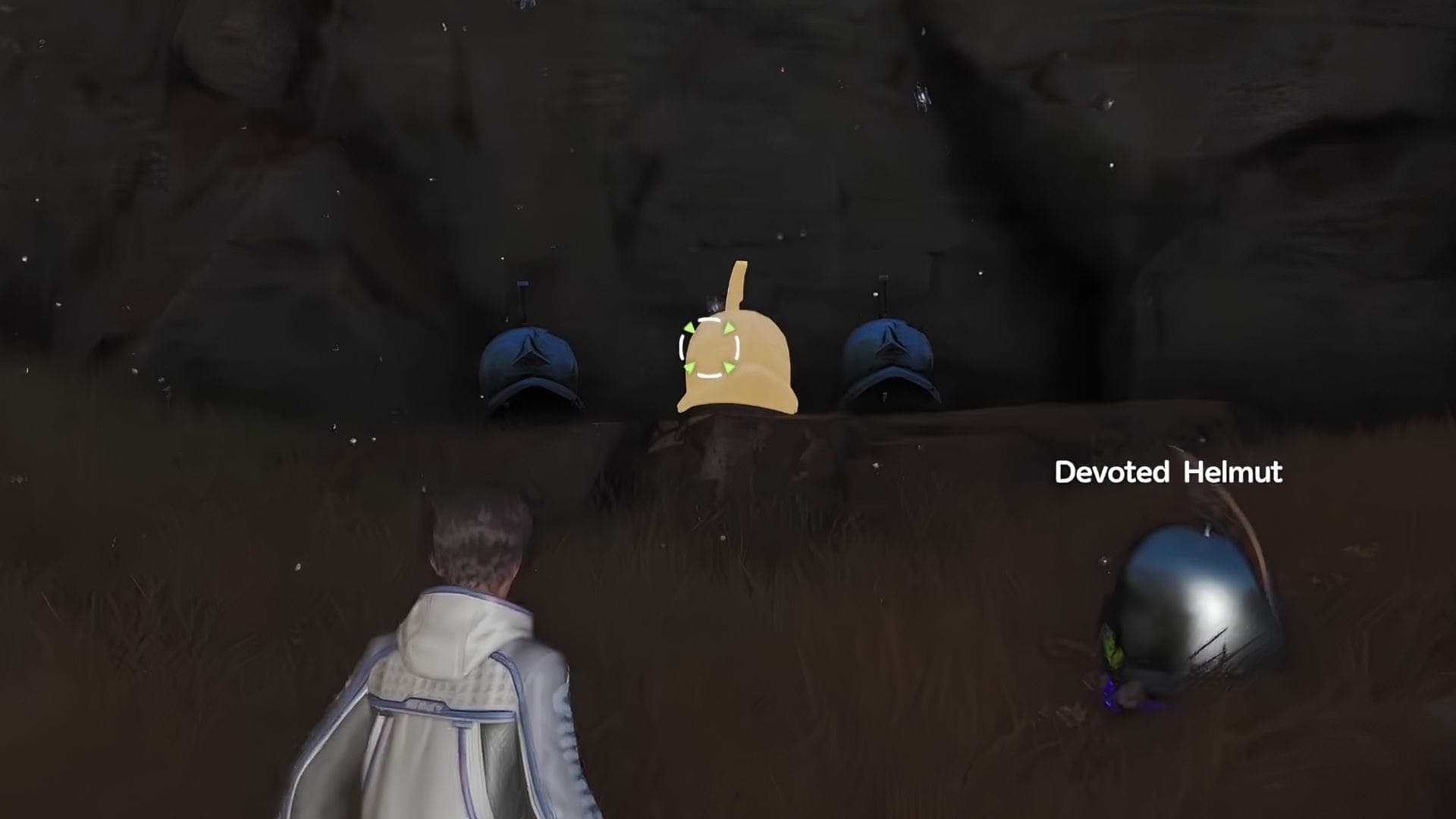 Finding a Helmut in Aniimo