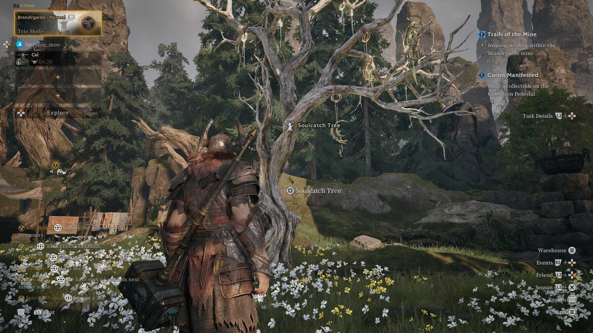 Soulcatch Tree