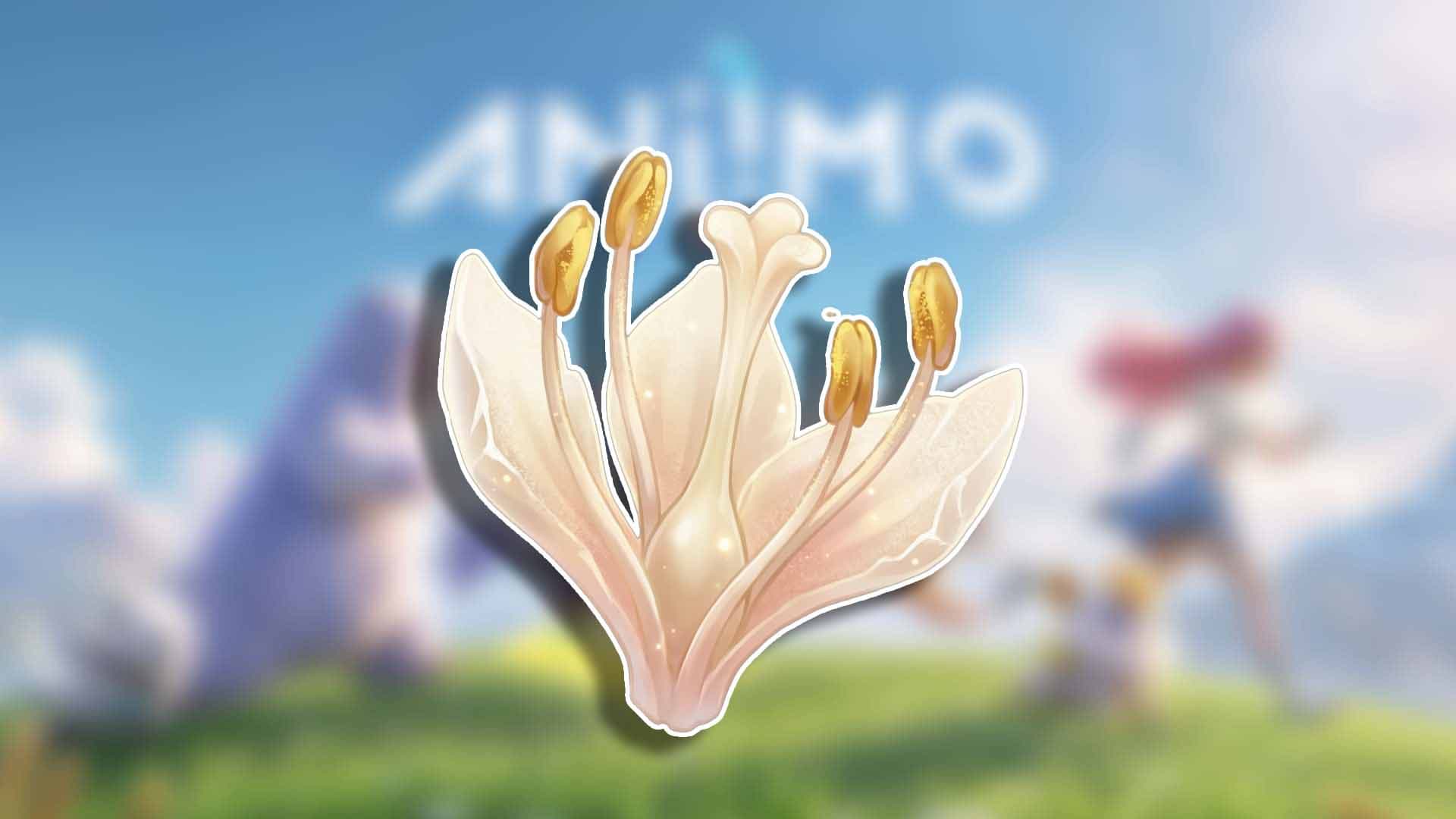 Stamen of Cubbo's Rose in Aniimo