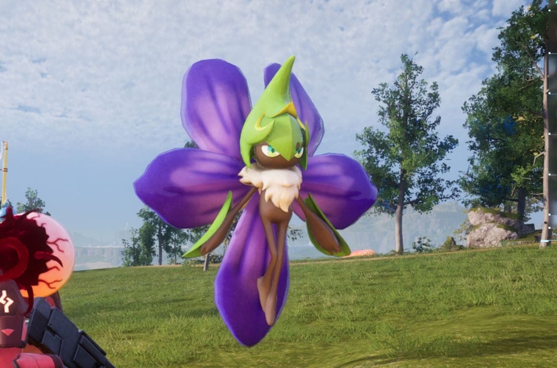 Vaelet