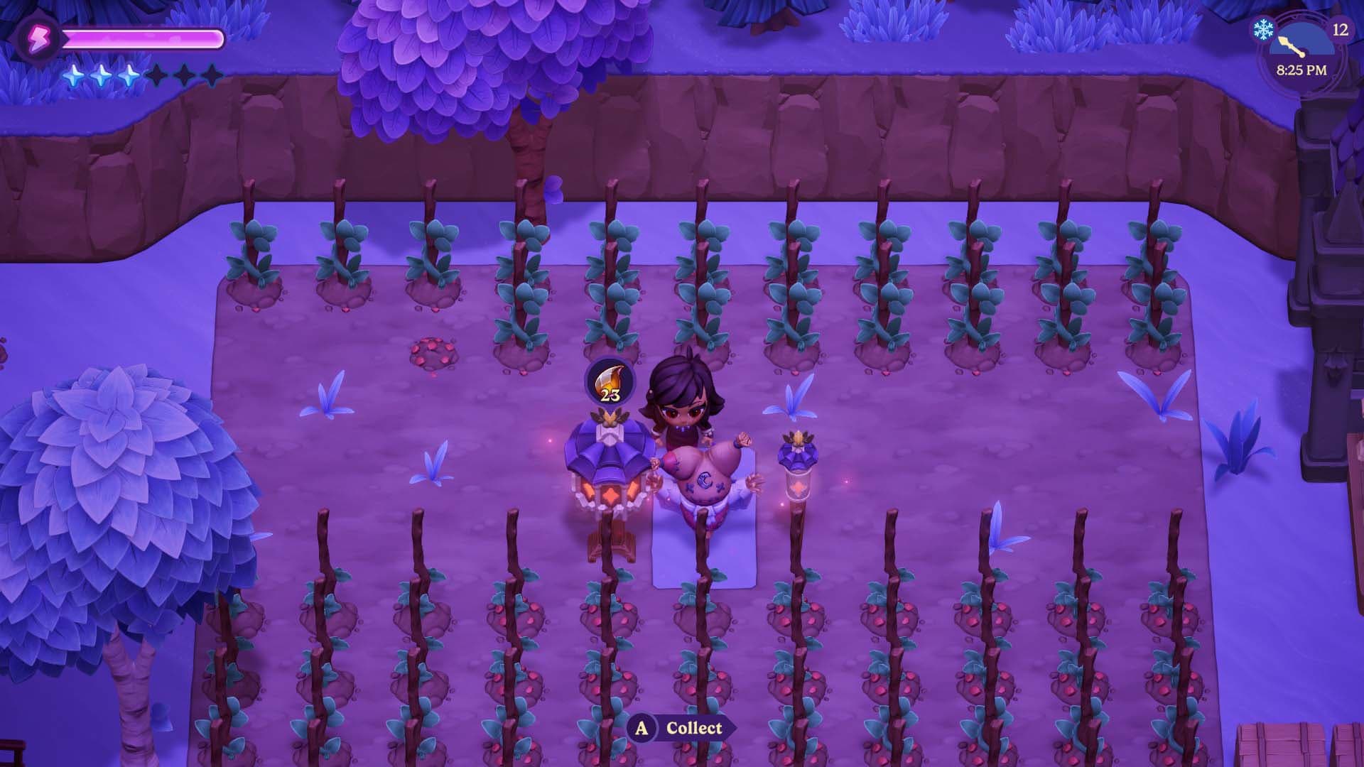 How to Use Firefly Sanctuary and Pollinator