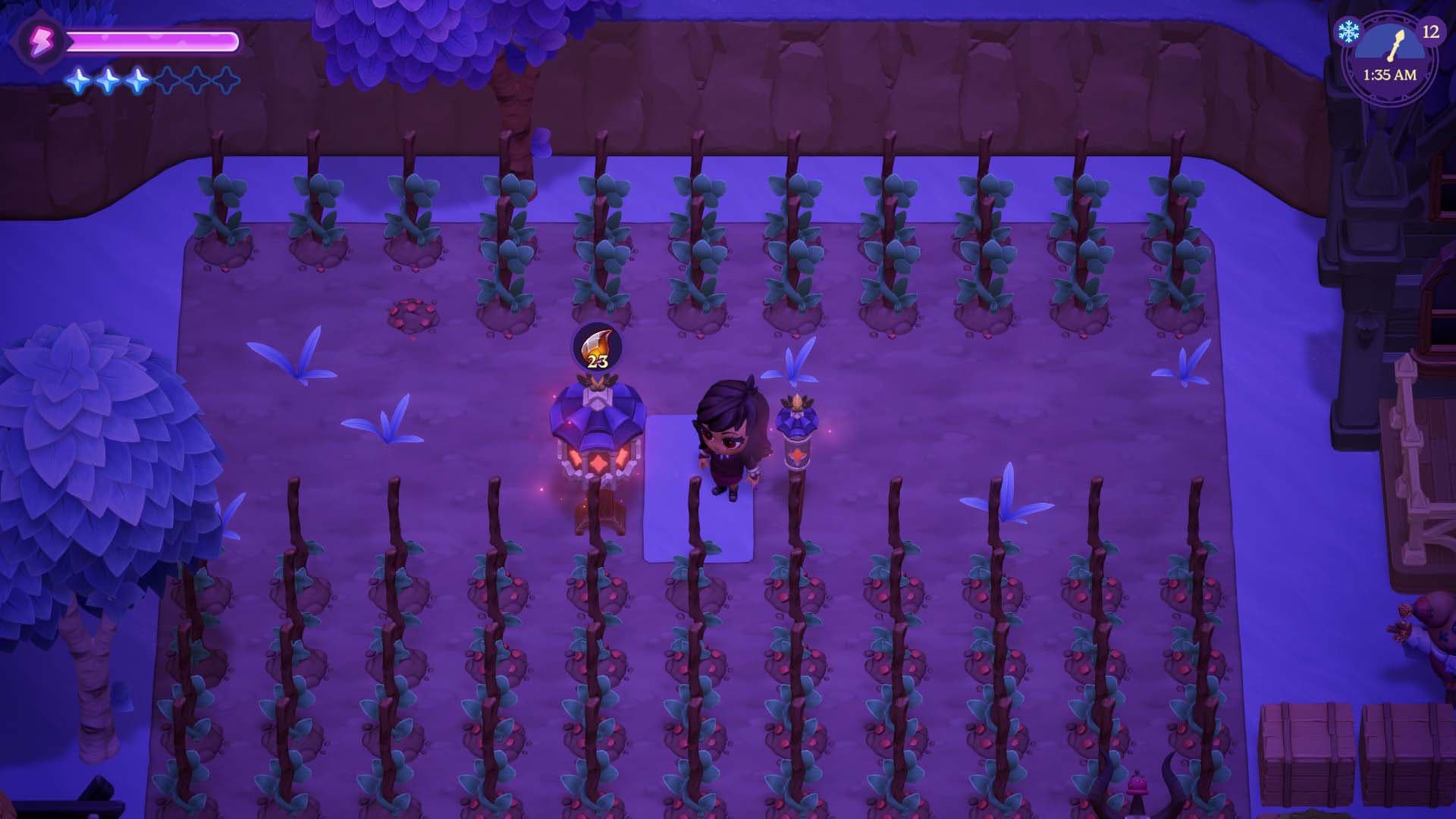 Moonlight Peaks Scarecrow Placement